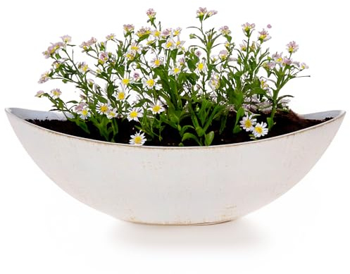 matches21 HOME & HOBBY Ovale Pflanzschale als große 34 cm Vintage Outdoor Deko-Schale Creme-Weiss glänzend