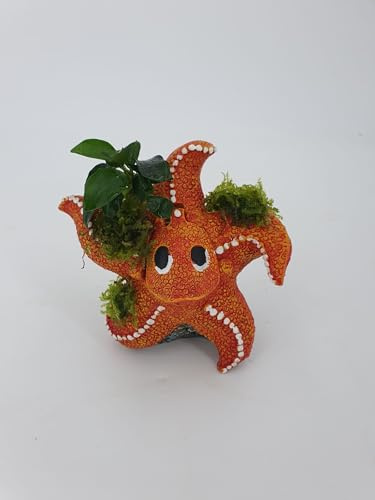 Aquarium Deko Polyresin wunderschönes Garnelenbäumchen Seestern mit Ausströmer (ca. 10x10cm) mit echtem Farn,Anubias uns Moos bepflanzt