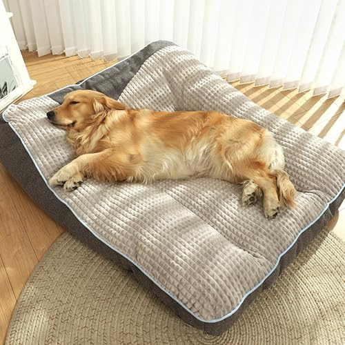 DUOLEH Hundecouch Hundekorb Kissen Haustiere Ergonomisches Hundesofa | 60x47x18cm, Atmungsaktiv Haustierbett Hundekorb, Rutschfester Unterseite, Abnehmbarem Waschba, Haustiere