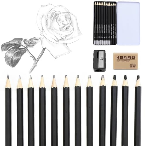 Crayon dessin professionnel (12 branches), Crayons Graphite, Crayons graphite professionnels pour croquis, 2H, H, HB, B, 2B, 4B, 5B, 6B, 8B, doux, moyen, dur, avec Gomme, taille - crayon, Noir