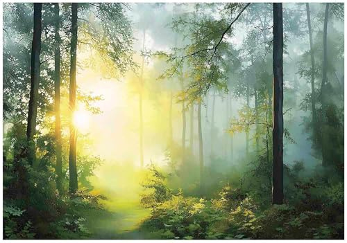 WallArena Fotomural Bosque 200x140 cm