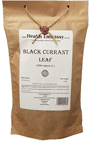 Health Embassy - Grosellero Negro Hoja (Ribes Nigrum L) - Black Currant Leaf (50g)