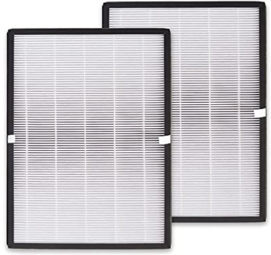 PUREBURG Paquete de 2 filtros de repuesto HEPA de alta eficiencia compatibles con el purificador de aire Balter LR-02