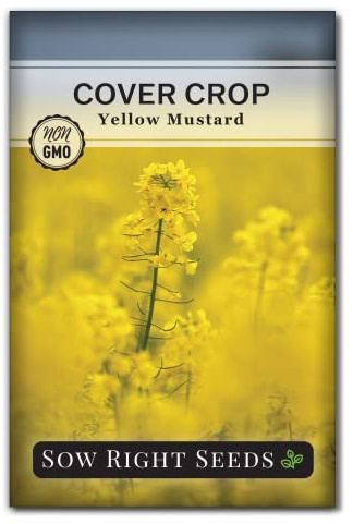 Sow Right Seeds - Yellow Mustard Seed for Planting - Cover Crops to Plant in Your Home Garden - Enriches Soil - Suppresses Weeds - Cold Hardy - Non-GMO Heirloom Seeds - Great Gardening Gift (1)