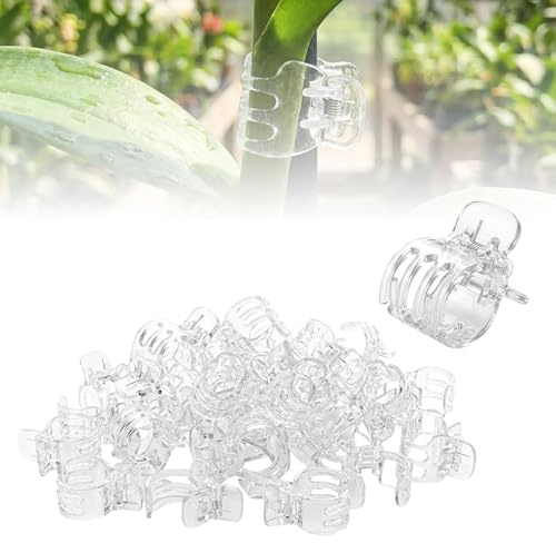 Clips de Vigne | Support pour grimpantes | Clips de Fixation de Tige de légumes, pour Jardin, intérieur et extérieur, légumes, Fleurs, tomates, orchidées, pothos jardiniers