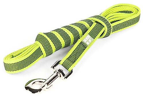 Julius-K9 Color & Gray Super-Grip-Leine mit Griff, 20 mm x 3 m, Neongrau