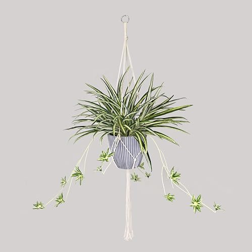 365 Blooming Decor Hanging Artificial Spider Plant – 37.4 Faux Greenery with Macramé Knotted Rope Boho Style Hanger, Ribbed Textured Pot, Real Pebbles, Fade-Resistant Patio, Balcony, Home Decor