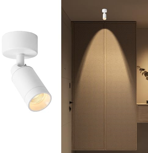 Foco de Techo Ajustable de 5 W, luz puntual, Montaje Expuesto, focos LED empotrados, focos direccionales, lámparas de exhibición de Obras de Arte Aent Lighting (Blanco 3000k)