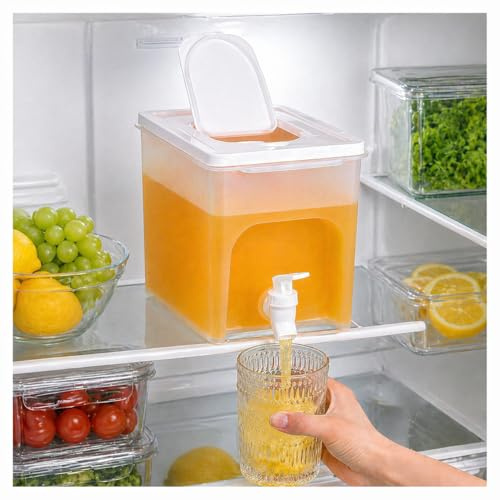 Dispensador de Bebidas 4L con Grifo y Repuesto | Recipiente Multiusos para Zumo Leche Refresco Té Cóctel, Ideal Picnic Camping Barbacoa Fiestas Familiares