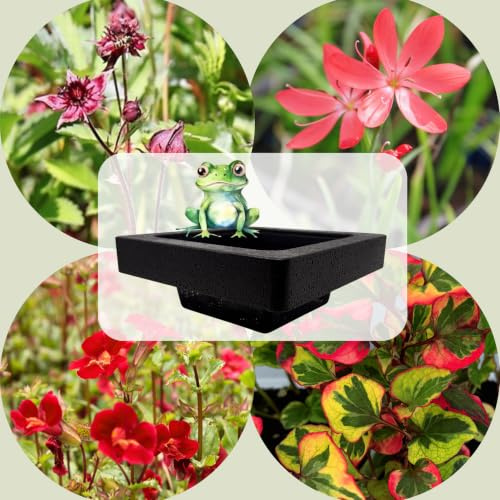 WASSERPFLANZEN WOLFF - FROG-ISLAND purpurrot- SCHWIMMINSEL inklusive Pflanzen - REIHERSCHUTZ - 4er-Mix mit Pflanzinsel - QUALITÄTSSTAUDEN im Pflanzkorb - Frosch-Insel für Gartenteich