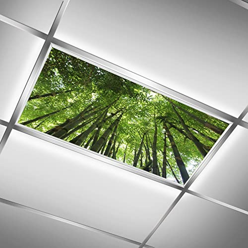 ZGONOHYE Ceiling Fluorescent Light Covers for Classroom Office Bamboo Tree Canopy Decorative Ceiling Light Coverings Skylight Film Filter Reduce Glare Flicker Home lamp Decor