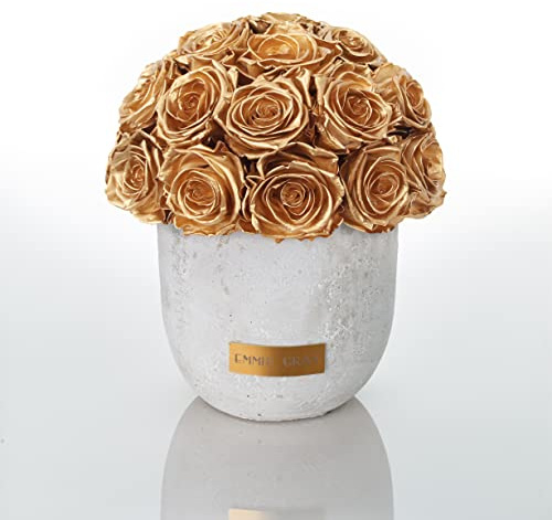 Solid Infinity Collection - Traumhafte Infinity Rosen, 1-3 Jahre haltbare Rosen, Betonvase mit echten, konservierten Rosen, edle Premiumrosen - Größe M (Gold)