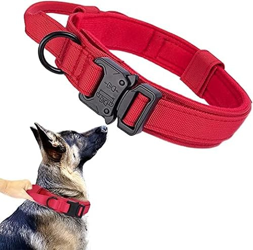 Starkes Hundehalsband für Groß Trainingshund (M, Rot)
