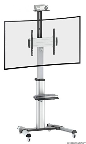 RICOO TV Ständer rollbar höhenverstellbar universal für 40-65 Zoll Fernsehständer mit Rollen FS0444 Fernseher Standfuss TV Bodenständer bis 50 Kg TV Fuß für VESA 400 x 400 mm