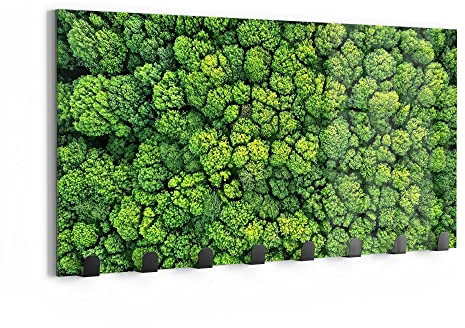 DEQORI Wandgarderobe Glas & Metall | Motiv Baumkronen von oben | 60x30 cm | Design Haken-Leiste modern | Garderoben-Paneel für Flur, Wohnzimmer & Schlafzimmer | magnetisch & beschreibbar