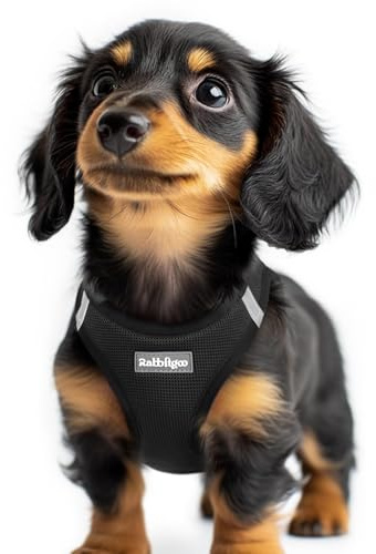 rabbitgoo Dog Harness Small Dog, Step-in Soft Mesh Vest, Black | Easy to Wear, Lightweight & Breathable, Escape Proof with Secure Buckle, Reflective Strips, for Puppy/X-Small Dog Walks, XXS
