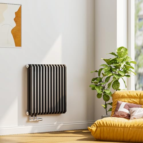 EMKE Heizkörper 60x59 cm, D-Form Design Heizkörper Horizontal Flachheizkörper Seitenanschluss Paneelheizkörper Doppellagig Anthrazit 969W