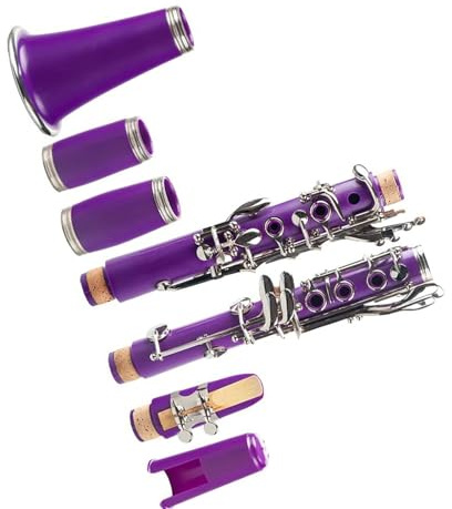 Professionelles 17-Tasten-B-Klarinetten-Set Mit Kupfernickel-Beschichtung Langlebiges Klarinetteninstrument Mit Vollem Klang