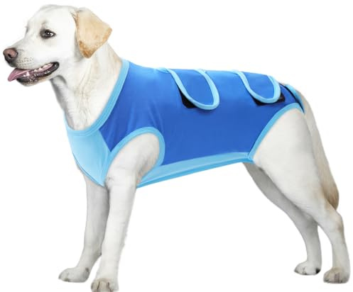 ASENKU Hundebody Nach Op, Hundebody Nach Kastration Hündin Rüde, Hundepyjama für Kleine, Mittlere und Große Hunde,Erholungsanzug nach Operation, Anti-Lecken, Wundschutz, Kegel-Alternative, Blau, XL
