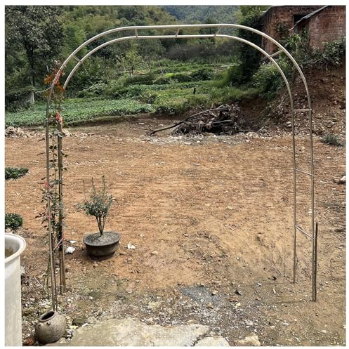 Pergola en acier inoxydable pour arche de jardin – Arche de jardin à assembler librement pour plantes grimpantes, fleurs et vignes – Arche durable pour décoration et soutien de jardin