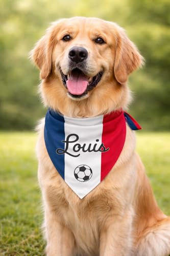 Bandana Chien Personnalisé avec Nom – Foulard pour Chien Personnalisable avec Texte & Symbole – Lavable – Fabriqué et Personnalisé en Europe (M, Drapeau France)