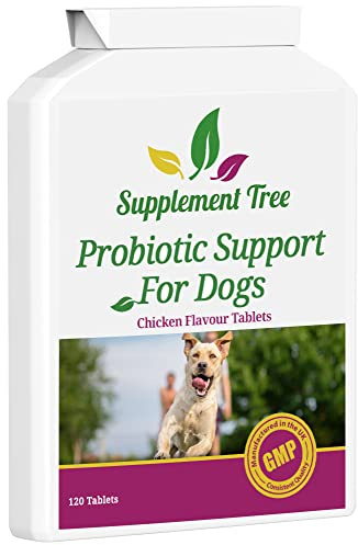 Probiotics for Dogs 120 Chicken Flavour Tablets - Advance Multi Strain Dog Probiotic & Prebiotic Tablets - Probiotics Supplement For Dogs With Added Digestive Enzymes