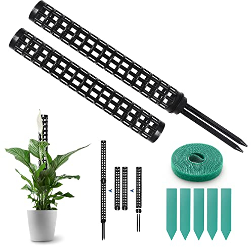 Supporto Piante Rampicanti, 2 Pezzi Palo Totem Bastone Muschio Monstera Sostegno per Piante da Arrampicare Cocco in Plastica Palo per Piante Aiuto Giardino con Etichette per piante, Nero 50cm