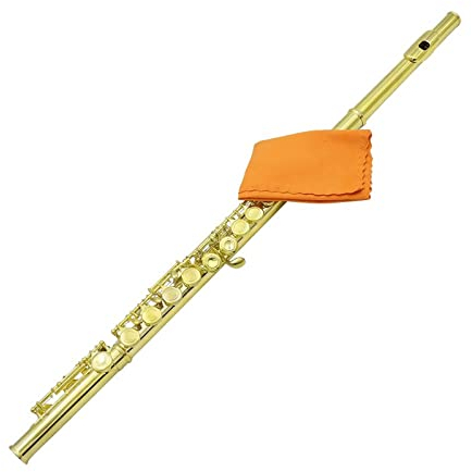 16-Loch-C-Taste, Kupronickelbeschichtete Silberflöte Mit Reinigungstuch, Handschuh-Etui, 8 Farben Für Option Querflöte Anfänger (Color : Gold)