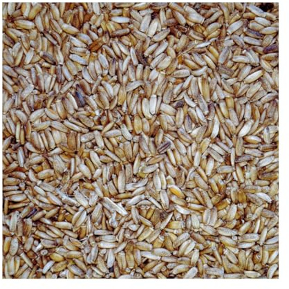 Dovita Vital Mariendistelsamen, 1 kg | Für Pferde, Für Haustiere, Für Nager, Vögel, Tauben, Für Hunde