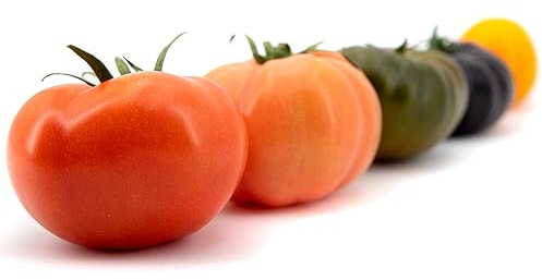 Tomate Melange 1.5kg, La Parcela, Origen España, Andalucía (Costa Tropical), Comprar Tomate Fresco, De La Huerta A Tu Casa, Producto de Cooperativa Granada La Palma