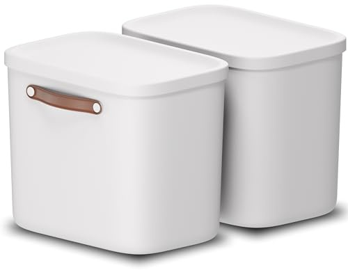 Rotho Maloja Aufbewahrungsbox mit Deckel 2 x 25 L stapelbar Creme-Weiß | Aufbewahrungsboxen im 2er-Set, sicher verschließbar, modular stapelbar, mit Trageriemen, pflegeleichter Kunststoff, Cremeweiß