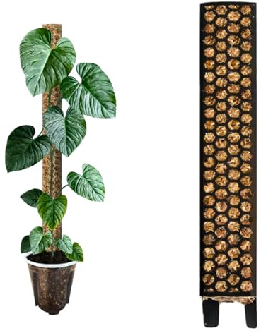 Nils der Växtfreund mosspinne [PlantScraper] 40 cm (L) / 3 stycken/svart | växtpinne | Moss Pole | Spaljé | utbyggbar mossa | mossa stavar | plantstolpe inomhus | mossstav monstera