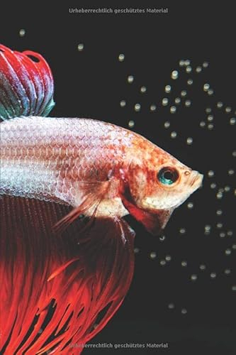 Aquarium Tagebuch: Planer, Notizbuch, Bestandsbuch, Futterplan für alle Auqarianer und Aquaristik Fans ♦ Logbuch für über 100 Einträge ♦ 6x9 Format ♦ Motiv: Kampffisch