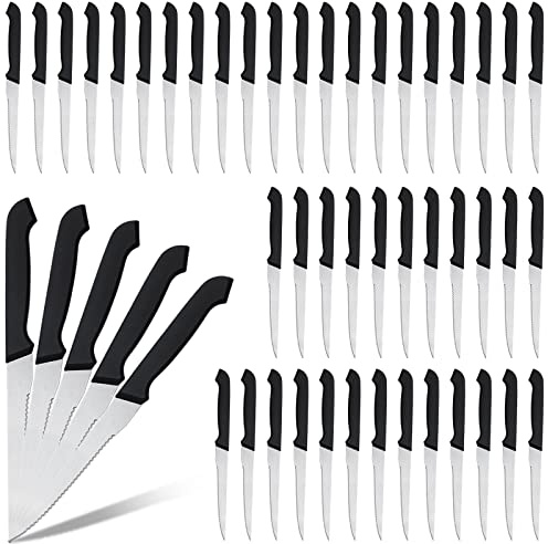 Therwen 50 Pieces Serrated Steak Knife Set Pointed Tip Stainless Steel Steak Knife Sharp Blade Flatware for Kitchen Restaurant Camping(Plastic Handle)