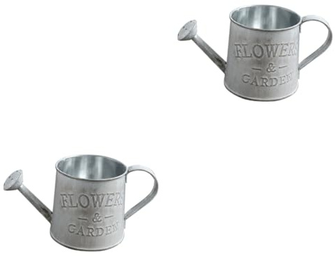 Ciieeo 2pcs Vintage Rustic Style Iron Metal Jug Shabby Pitcher for Home Wedding Party Decoration Creative Flower Vase Can Tin Bucket Watering Can Shape Portable Pot