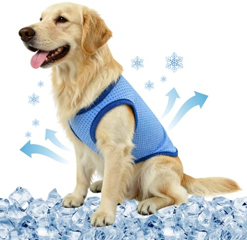 Veste de Refroidissement pour Chien Respirante été, Gilet Rafraichissant Chien, Style sans Manches Frais et Confortable, Manteau Rafraichissant pour Chien, Accessoires Généraux (M)