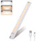DFGOTOP Lampe de Placard 160 LED Sans Fil, Reglette Cuisine, Eclairage Sous Meuble avec Détecteur de Mouvement, Charge USB pour Armoire, Escalier (2PCS) (40cm-1PCS)