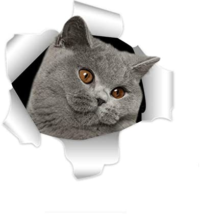 ZEARLY Hot Persönlichkeit 3D Britisch Kurzhaar Katze Auto Aufkleber Zubehör Motorrad Sonnencreme Wasserdicht PVC 13cm * 12cm