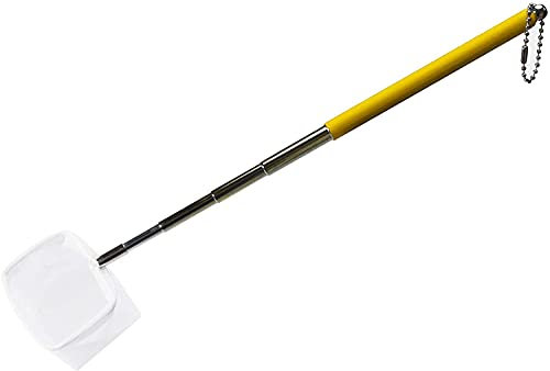 boxtech Fish Shrimp Skimming Net Rete da pesca espandibile con manico in acciaio inox per acquario Pond Creek (giallo, quadrato)