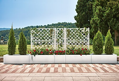 Spalier-Set XXL: 3 Spaliere & 2 Pflanzkästen, Rattan-Design, Weiß | Aus Kunststoff für bis zu 250 cm Sichtschutz auf Terrasse, Garten und Balkon. Kästen im XL-Format.