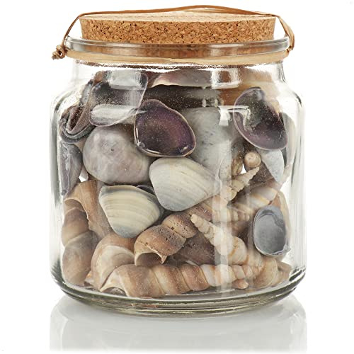 com-four® Deko-Muscheln, Glas gefüllt mit schönen Muscheln