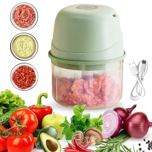Elektrischer Lebensmittelhacker, WASAGA 300ml Mini Küchenmaschine oder Schneidemaschine für Gemüse Fleisch Obst Knoblauch Zwiebel Paprika