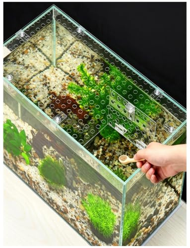 1mm Thick PC Aquarium Lid with DIY Feeding Door, Anti Jump Fish Tank Cover | Transparent PC fish tank lid with feeding port, anti-jump design, airflow and light friendly(60x30cm/23.6x11.8in)