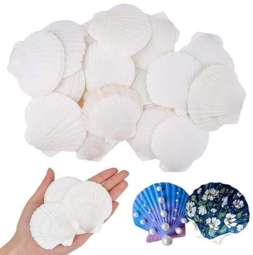 SIXHAOBU 25 Piezas Blanco Grandes Conchas Naturales, Conchas de Vieira Natural Grandes, Durabilidad De Mar Decoracion Para Decoración de Bodas, Fiestas en la Playa, Acuarios(5-7cm)