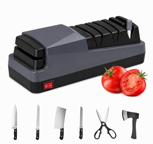 Aiguiseur de Couteaux Électrique 48W 3 Niveaux 4000rpm 72 dB
