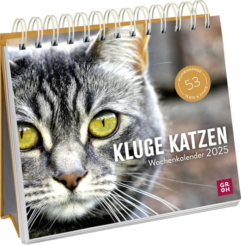 Wochenkalender 2025: Kluge Katzen: Katzenkalender zum Aufstellen mit Wochenkalendarium, Tischkalender als Geschenk für Katzenfreunde