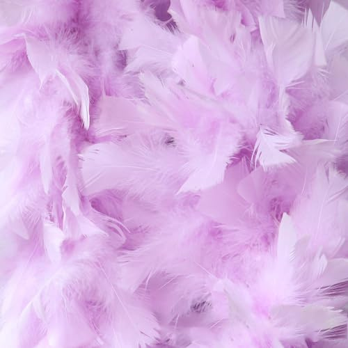 Modischer Feder-Boa Unisex,Boa für Kostüm-Accessoire,Länge circa 2 m,Kostüm und Bastelzubehör,Feder Schal für Hochzeit Karneval Halloween Cosplay Weihnachten,Bühnenshows,Kostüm Party,Helles Lila