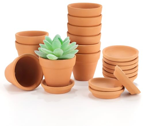 Qivra 10 Pezzi Piccoli Vasi in Terracotta con Vassoio 5.5x5cm, Mini Vasi di Terracotta per Interni ed Esterni/Decorazione