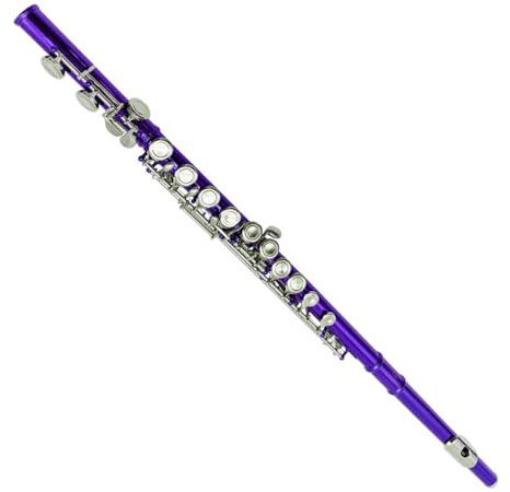 Flauto Strumento colorato per principianti flauto a foro chiuso con chiave E a 16 fori viola