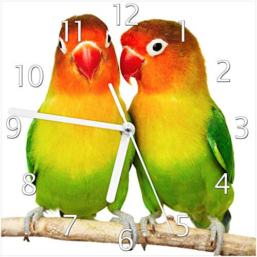 Wallario Design-Wanduhr Papageien auf dem dünnen AST aus Glas, Motiv-Uhr Größe 20 x 20 cm, weiße Zeiger